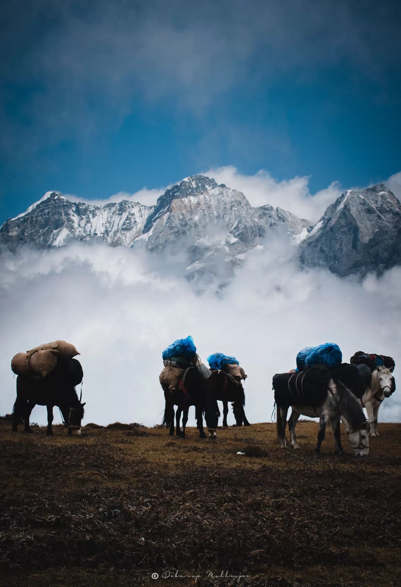 Photo of Goecha La Trek By Debarup Mukherjee