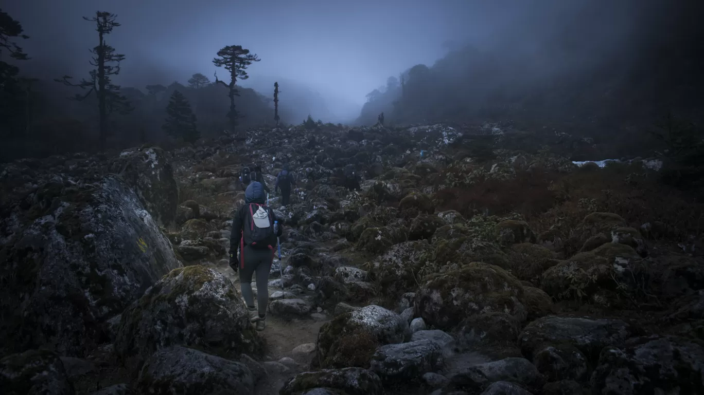 Photo of Goecha La Trek By Debarup Mukherjee