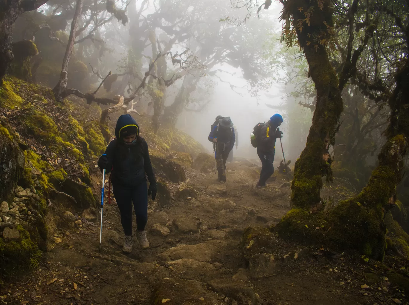 Photo of Goecha La Trek By Debarup Mukherjee
