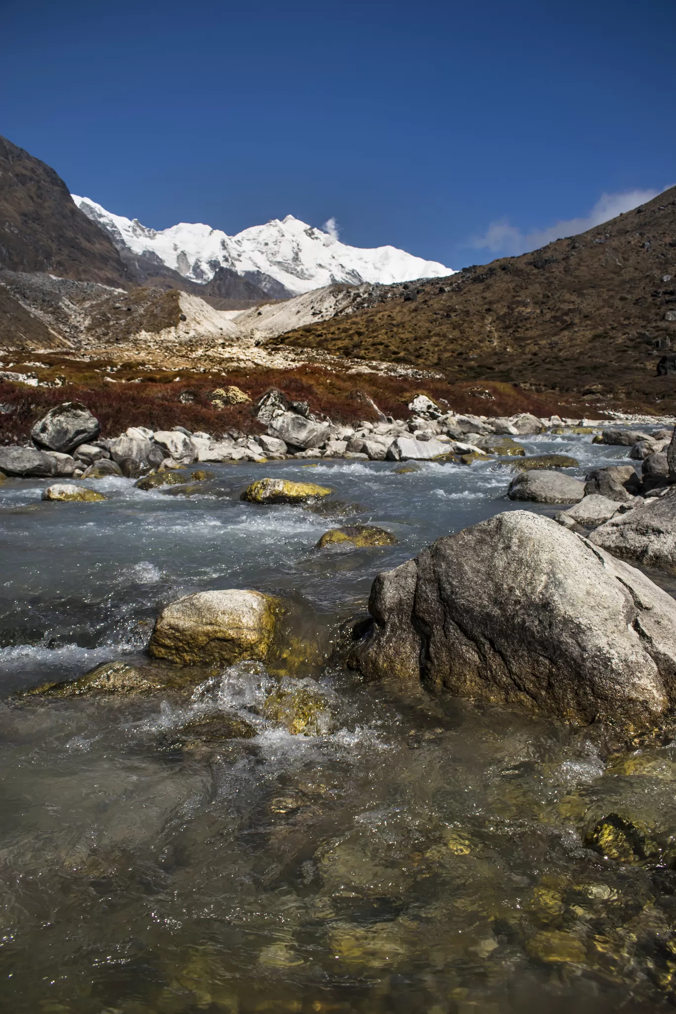 Photo of Goecha La Trek By Debarup Mukherjee