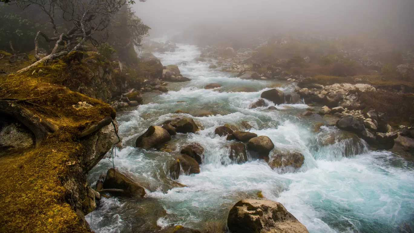 Photo of Goecha La Trek By Debarup Mukherjee
