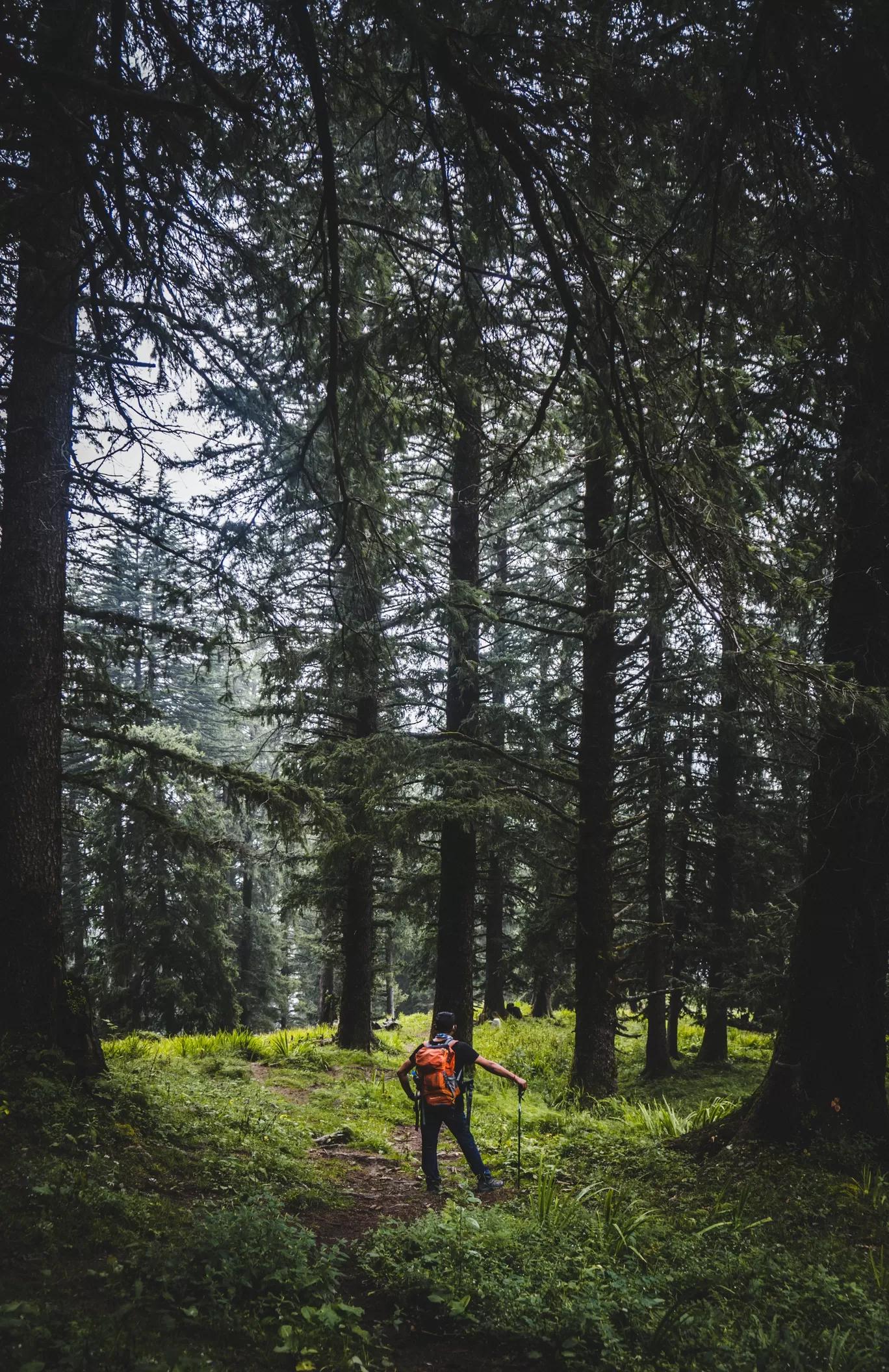 Photo of Hamta Pass By Debarup Mukherjee