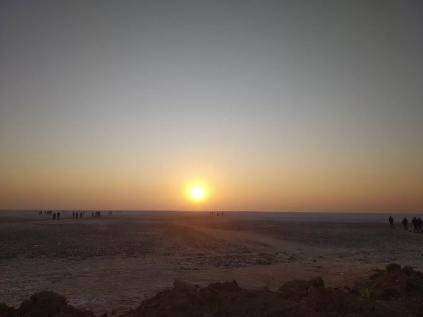 Photo of White Rann By Srabani Chakroborty