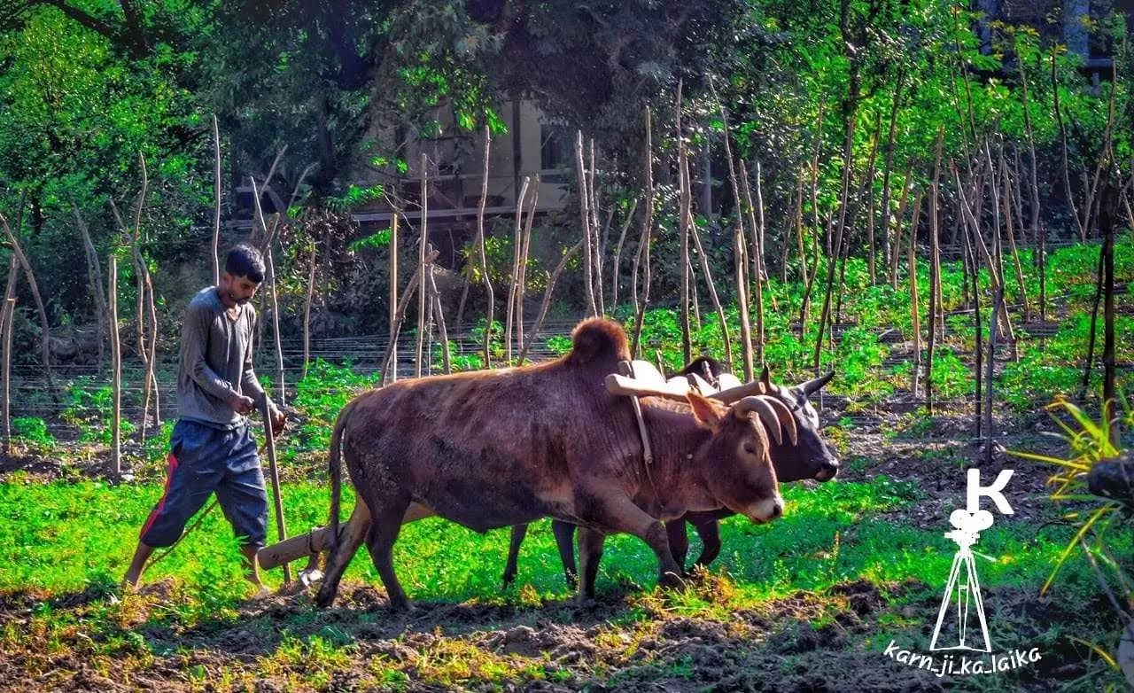 Photo of Tirthan By Akash Verma