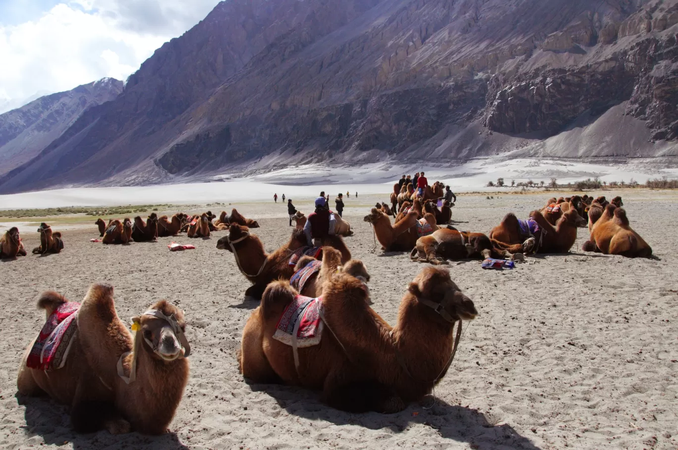 Photo of Ladakh By Rohan Chakraborthy