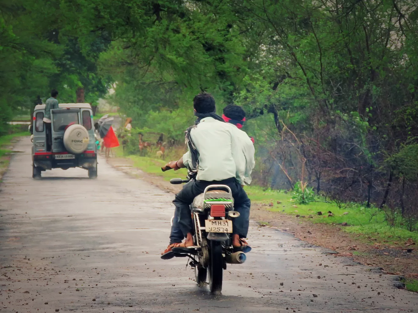 Photo of Tadoba National Park By kriti arora