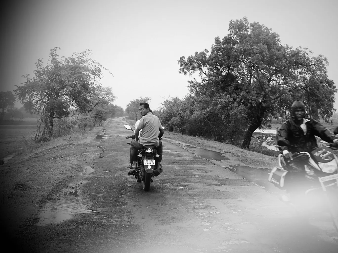 Photo of Tadoba National Park By kriti arora