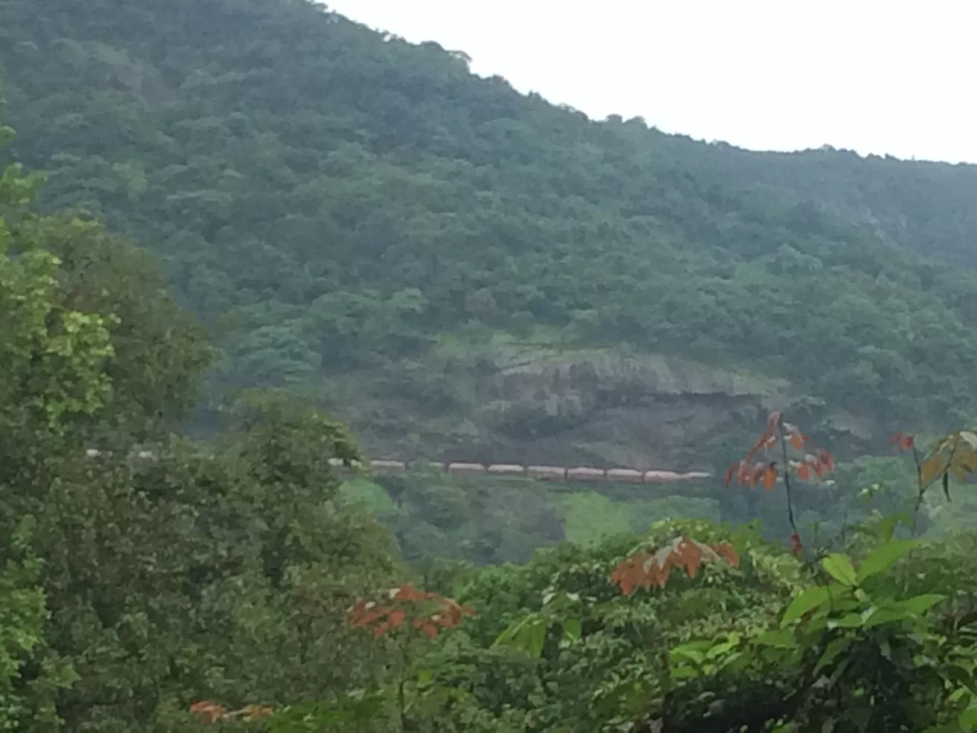 Photo of Dudhsagar Falls By ishan gupta