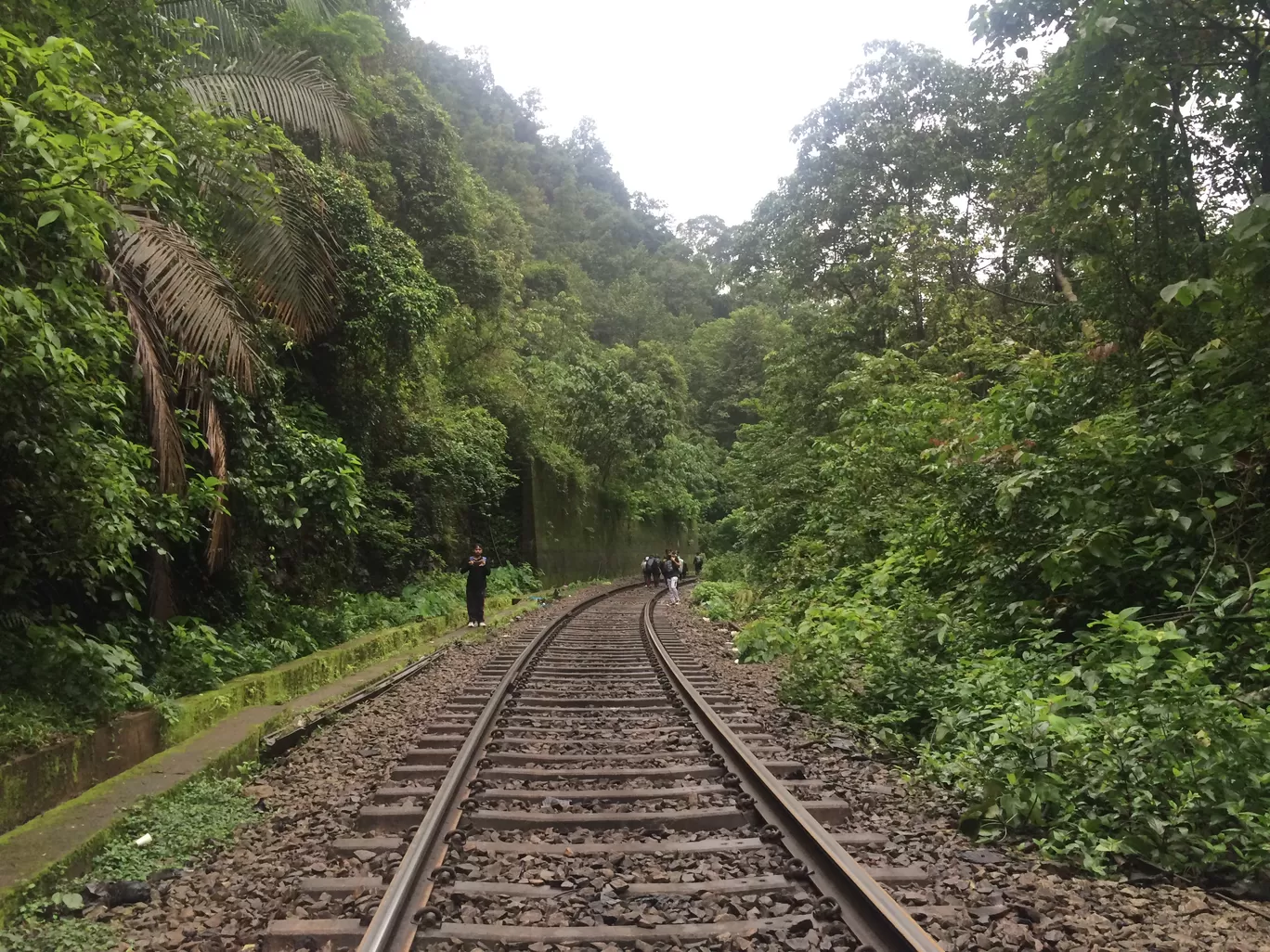 Photo of Dudhsagar Falls By ishan gupta