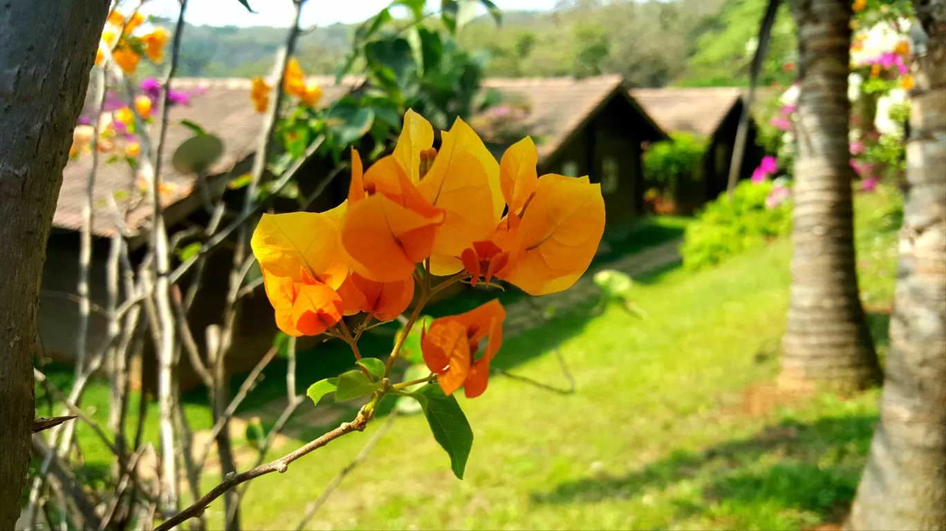 Photo of Palolem Beach By Shipra Sharma
