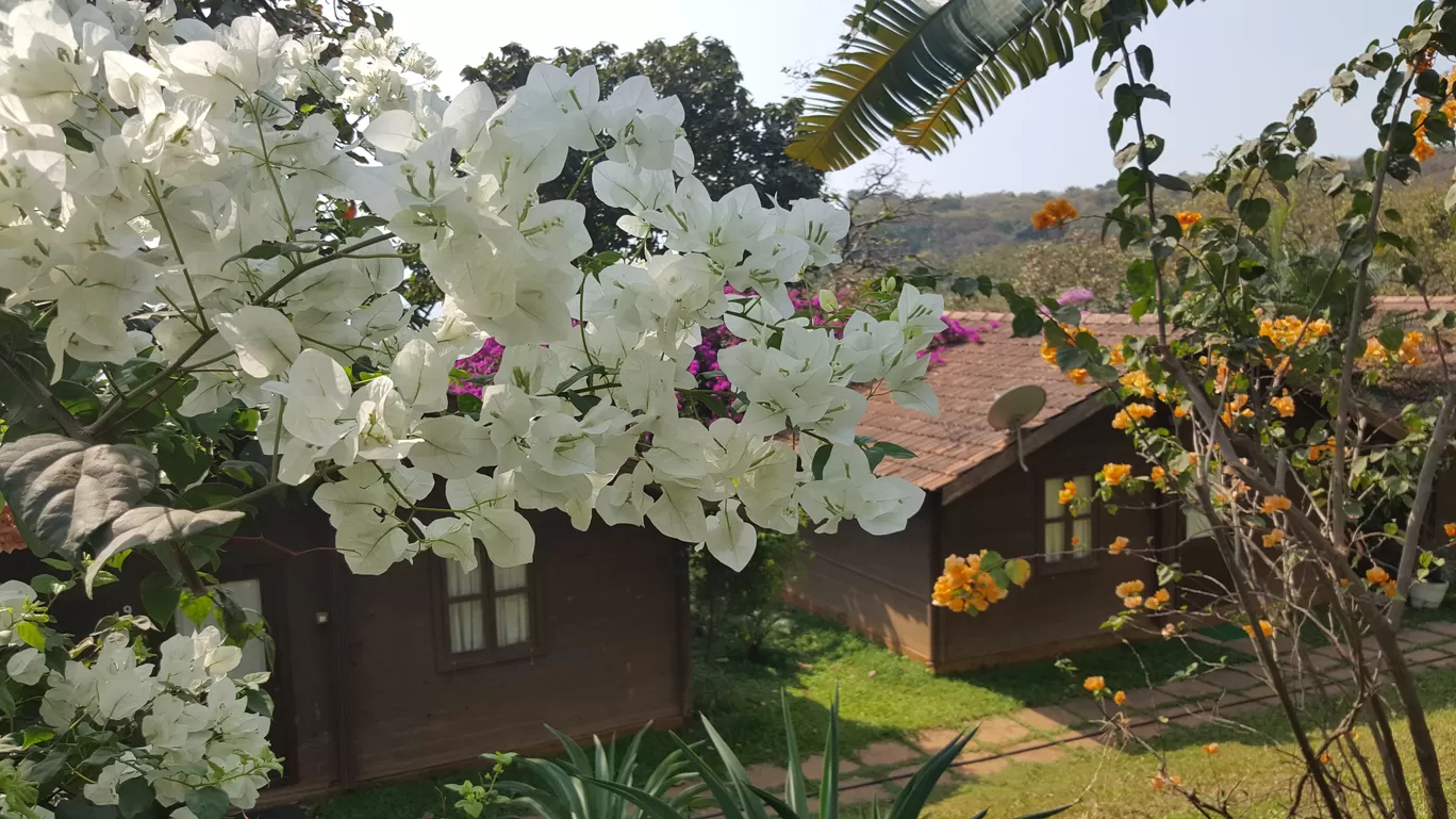 Photo of Stone Water Eco Resort By Shipra Sharma
