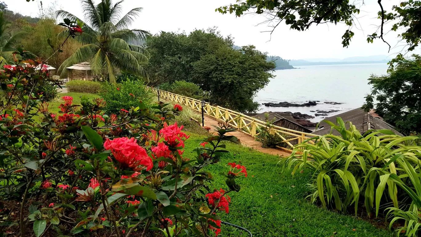 Photo of Anjuna Beach By Shipra Sharma