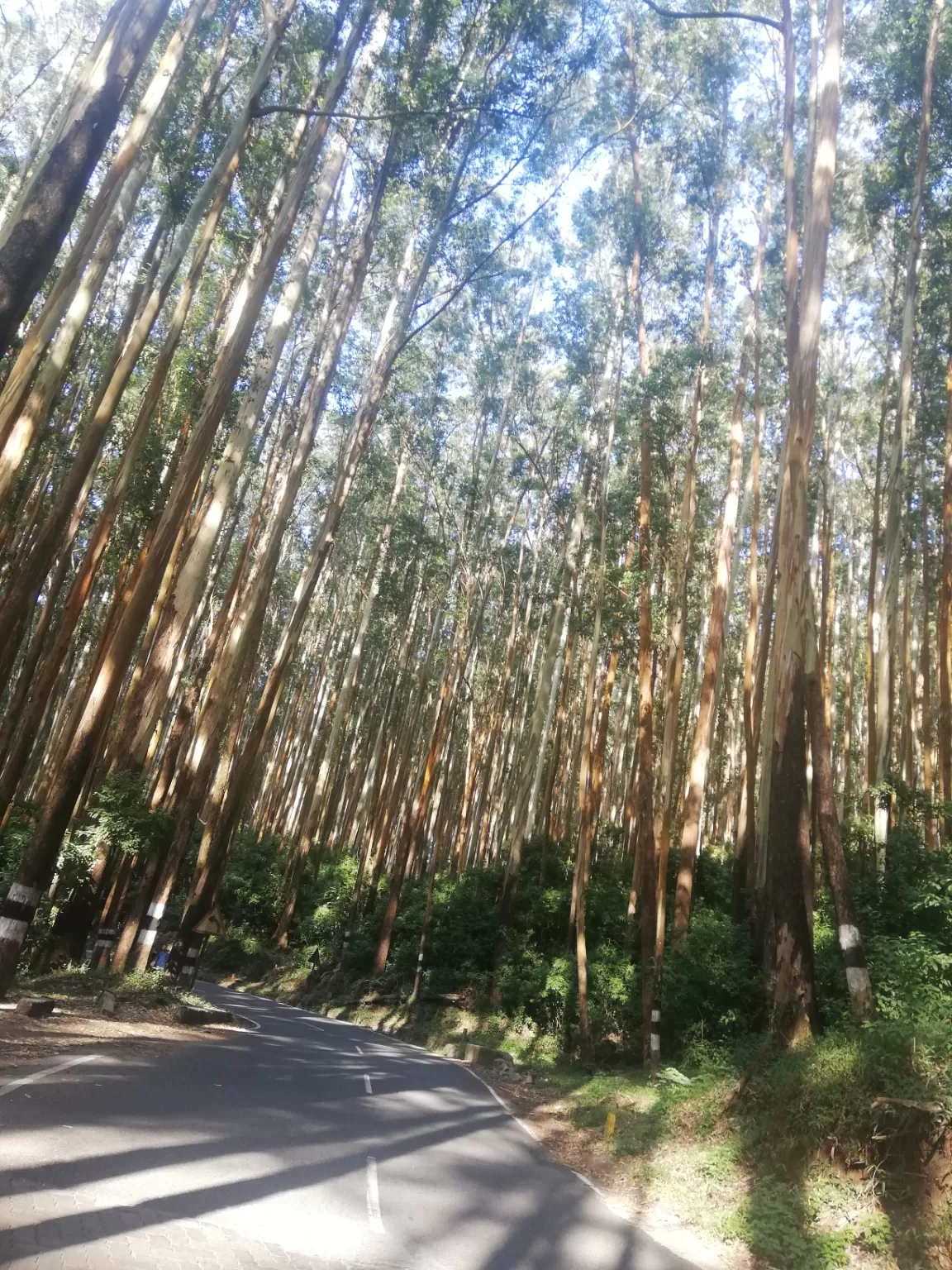 Photo of Nilgiris By Prakash Parmar