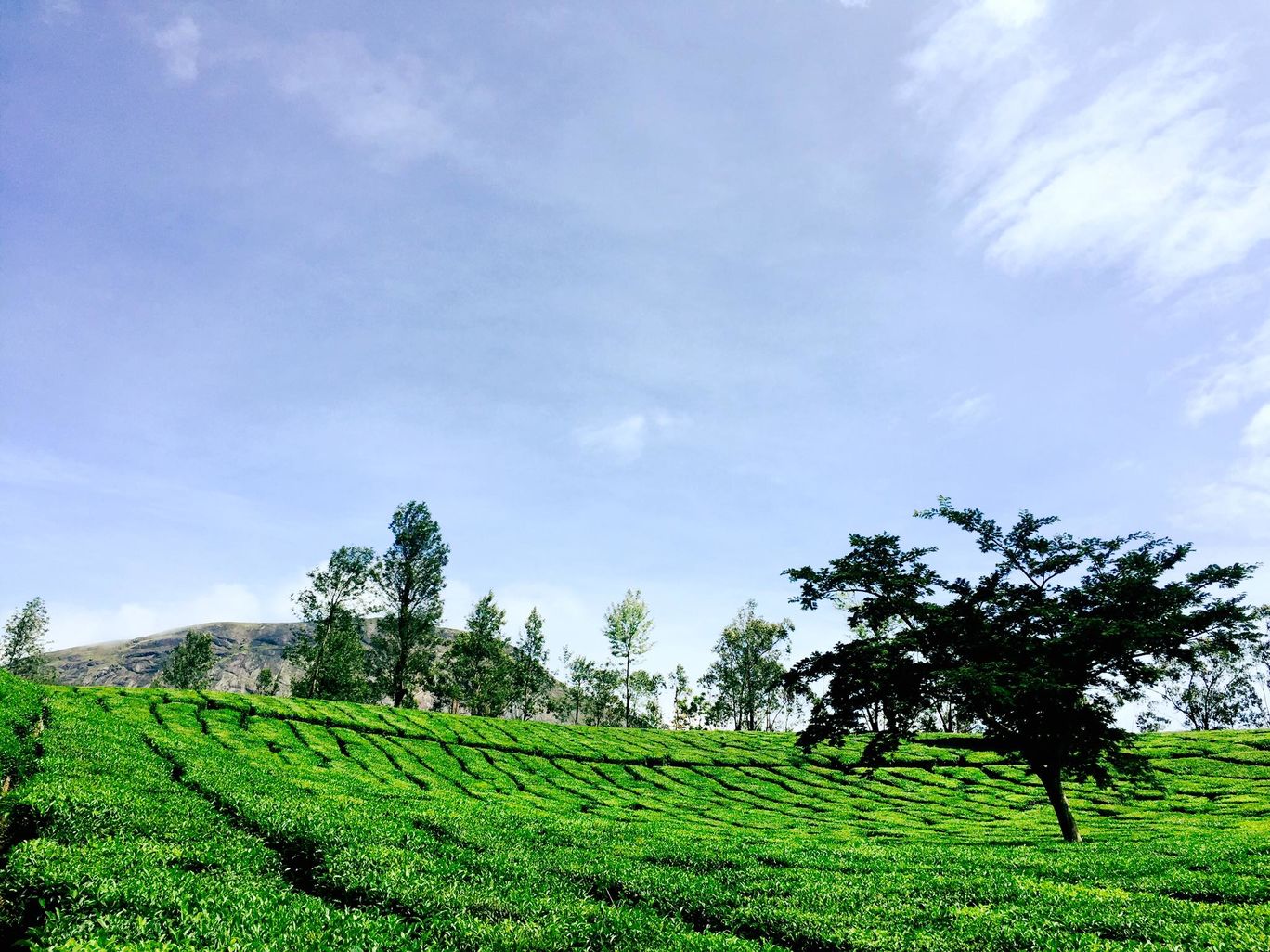 Photo of Beautiful Kerala By Sandeep Rathi