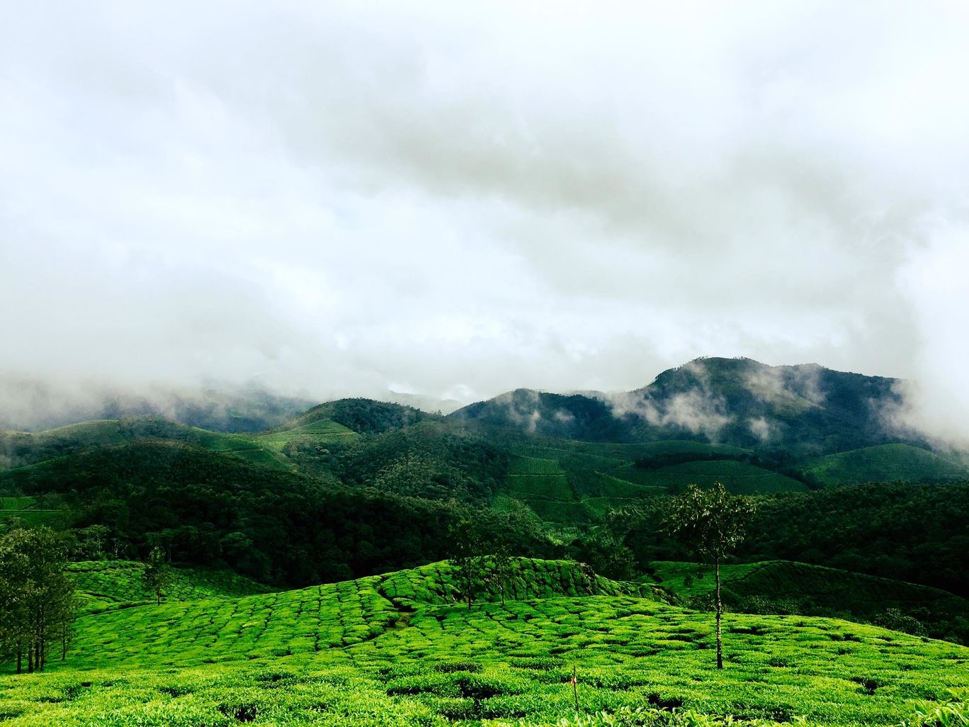Photo of Beautiful Kerala By Sandeep Rathi