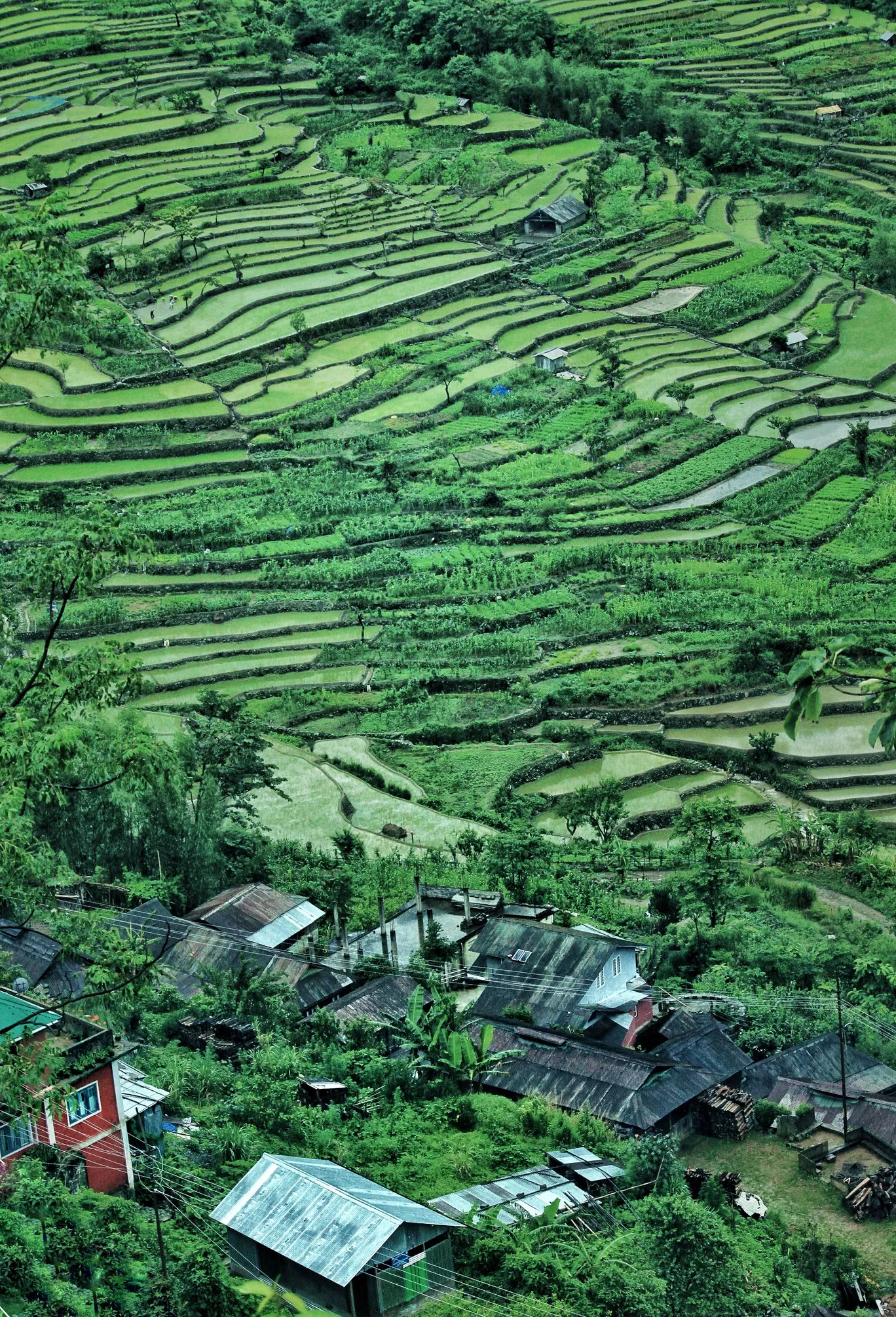 Photo of Khonoma By upasana kakati