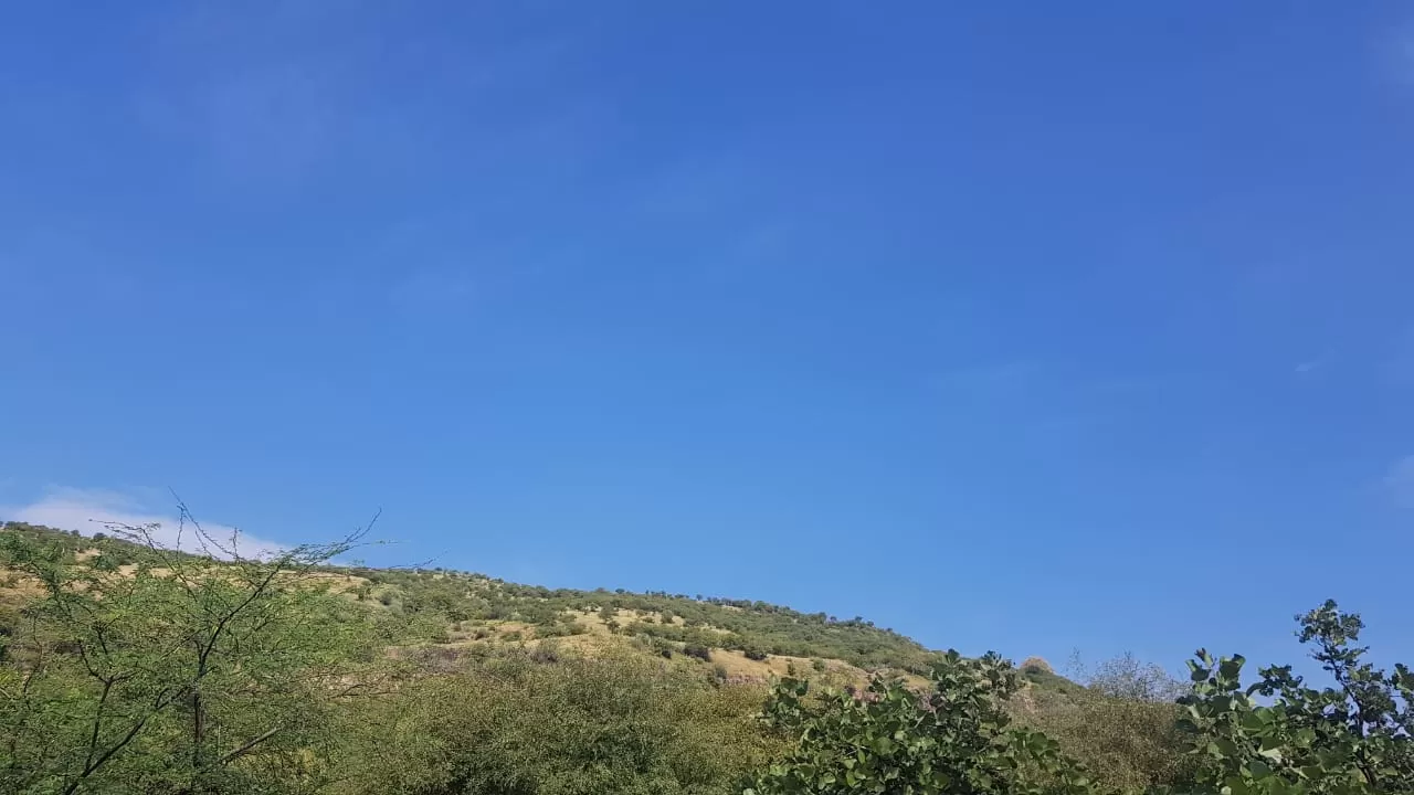 Photo of Ranthambhore Fort By Dev Arbikshe