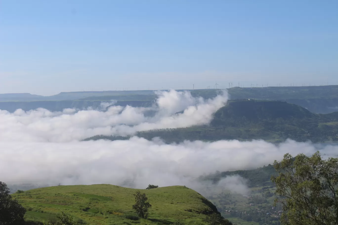 Photo of Kaas Plateau of Flowers By Vikash Nayak