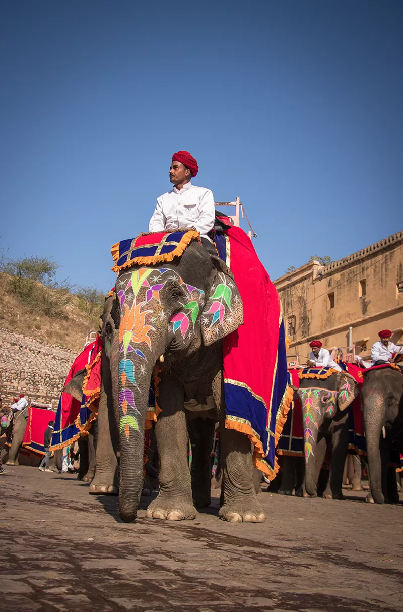 Photo of Amer fort By veer kumar