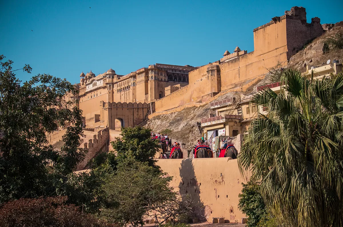 Photo of Amer fort By veer kumar
