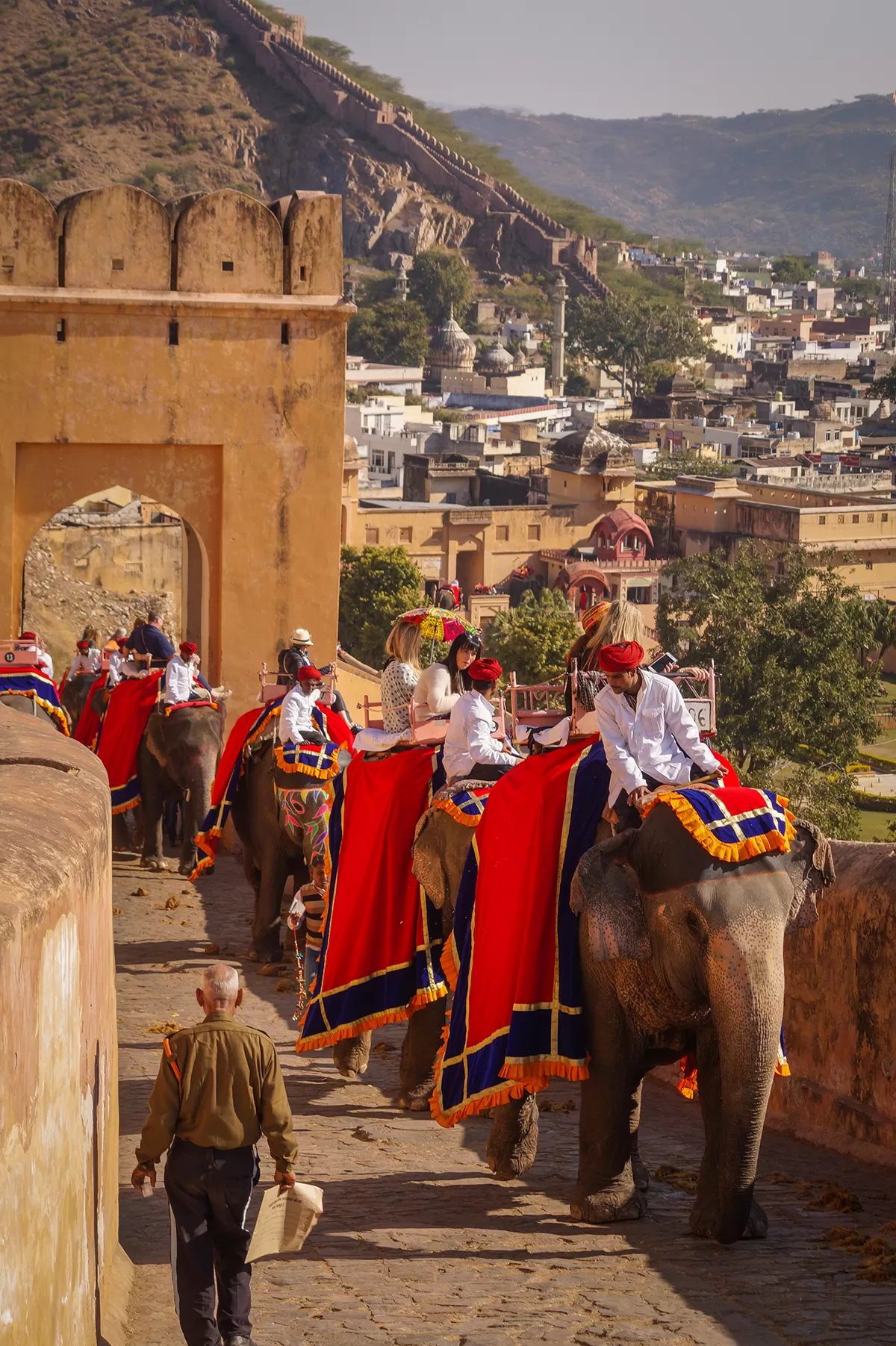Photo of Amer fort By veer kumar