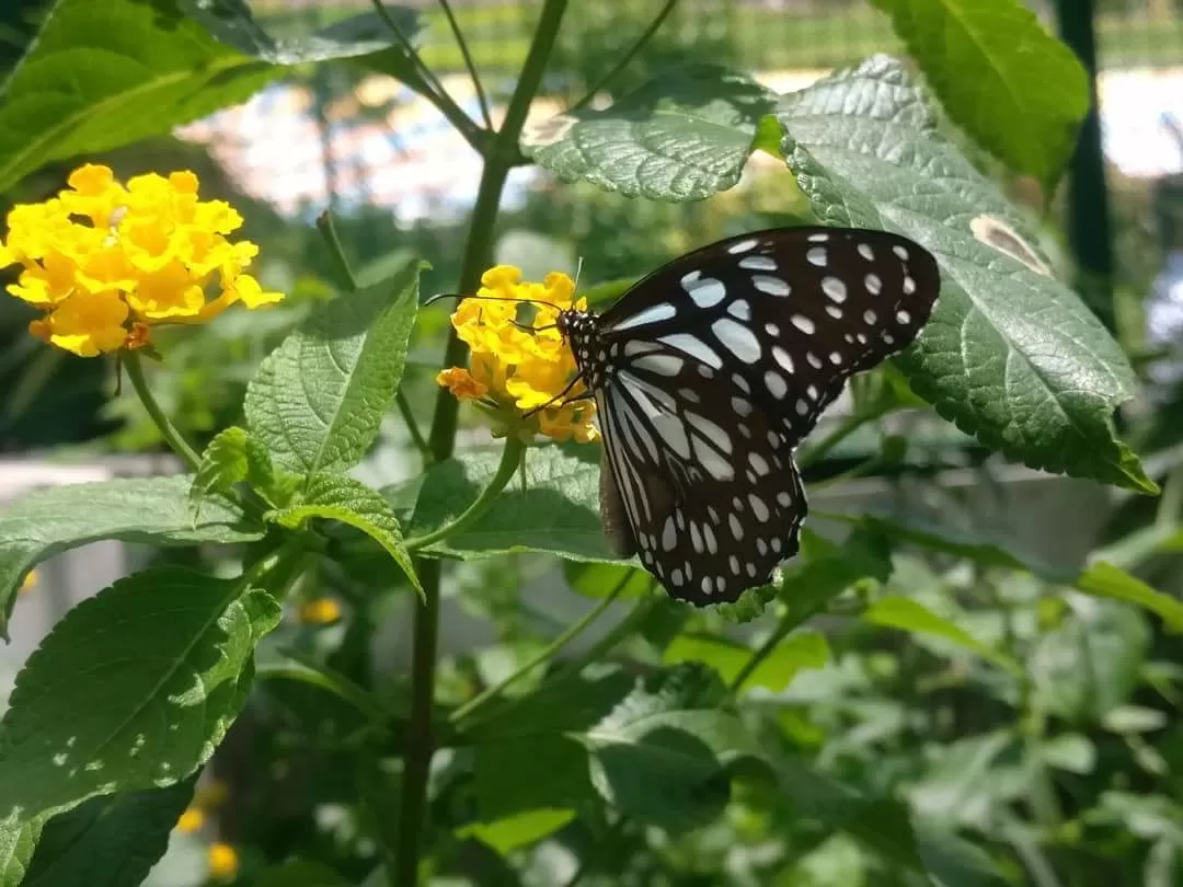Photo of Hyderabad By Pooja K Murthy