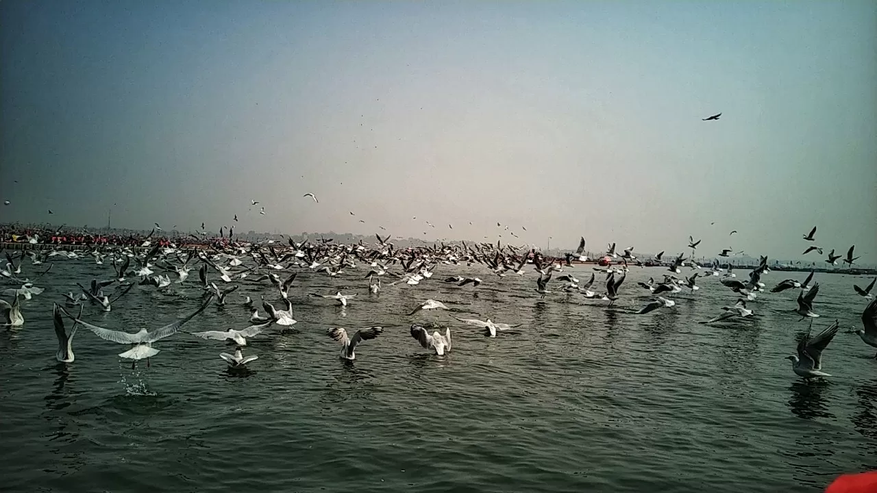 Photo of Prayagraj By Ashish Kumar