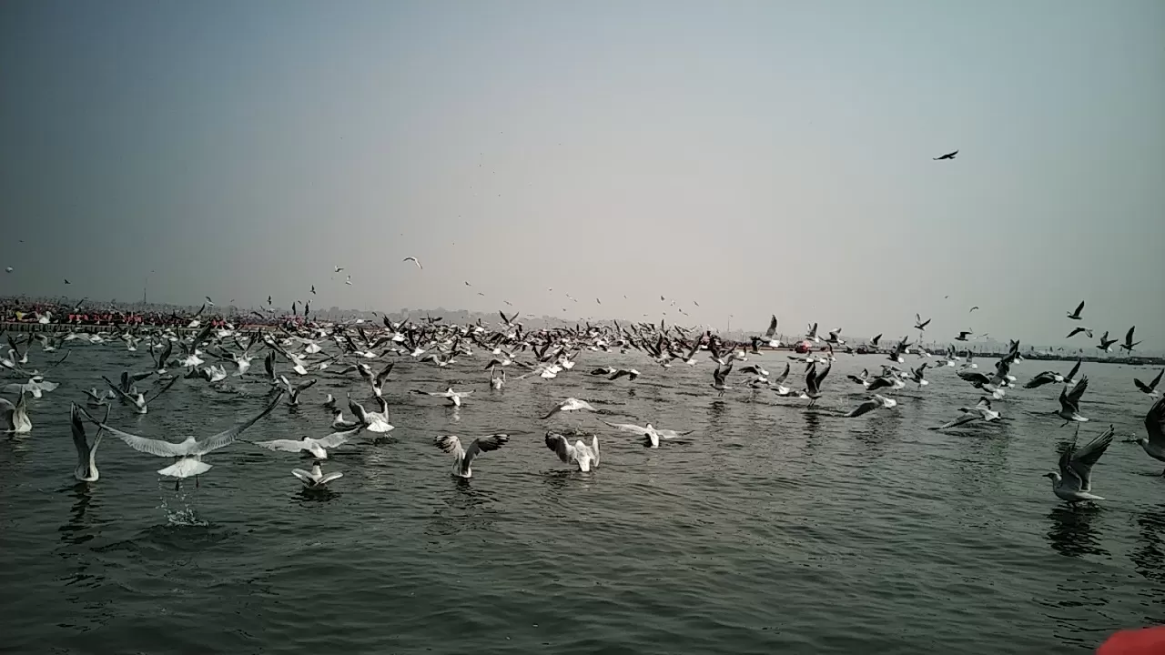 Photo of Prayagraj By Ashish Kumar
