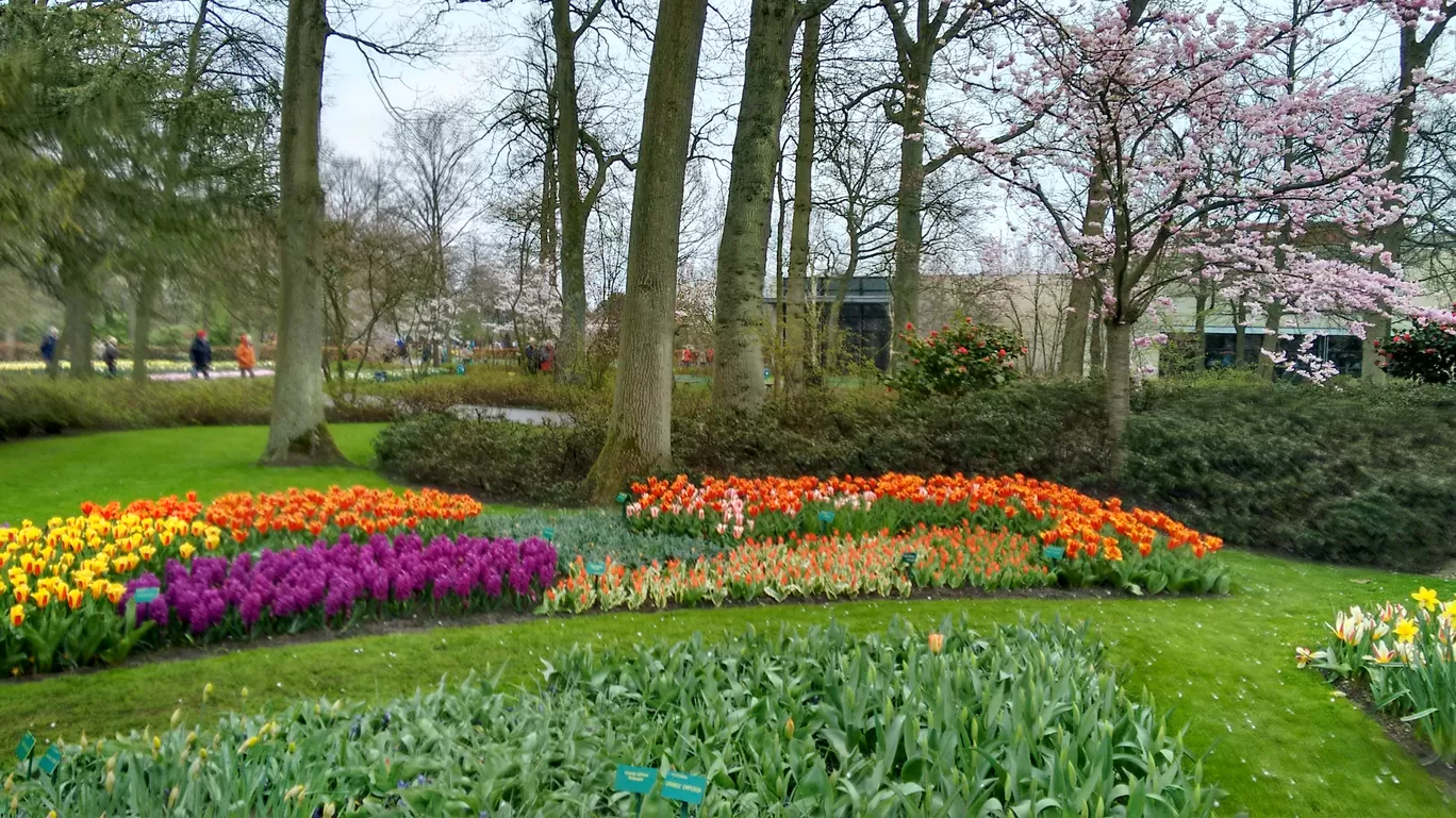 Photo of Keukenhof By Shreya Agarwal