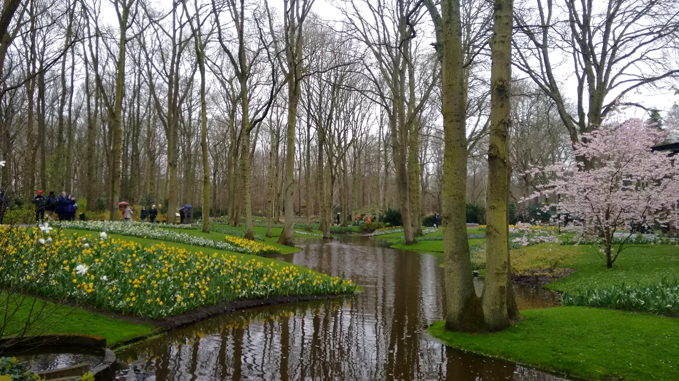 Photo of Keukenhof By Shreya Agarwal