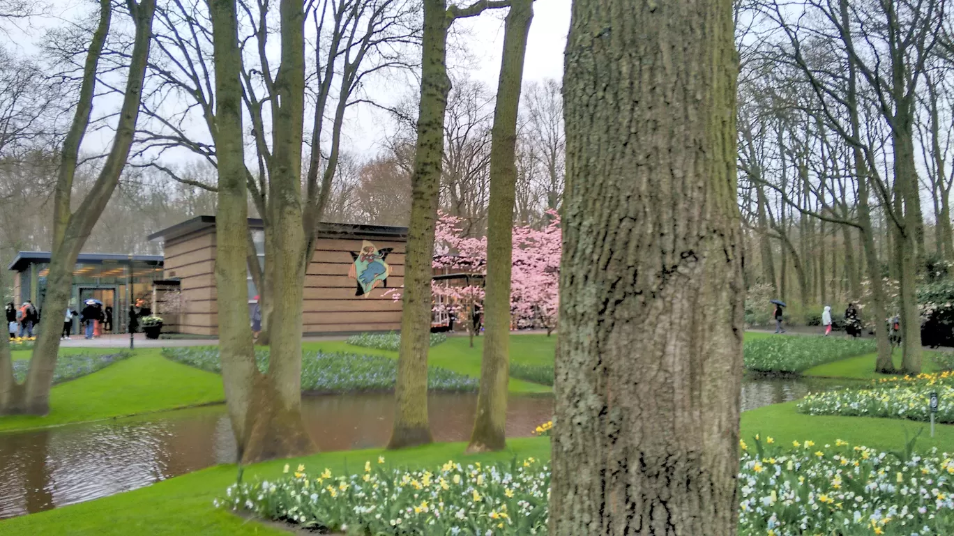 Photo of Keukenhof By Shreya Agarwal