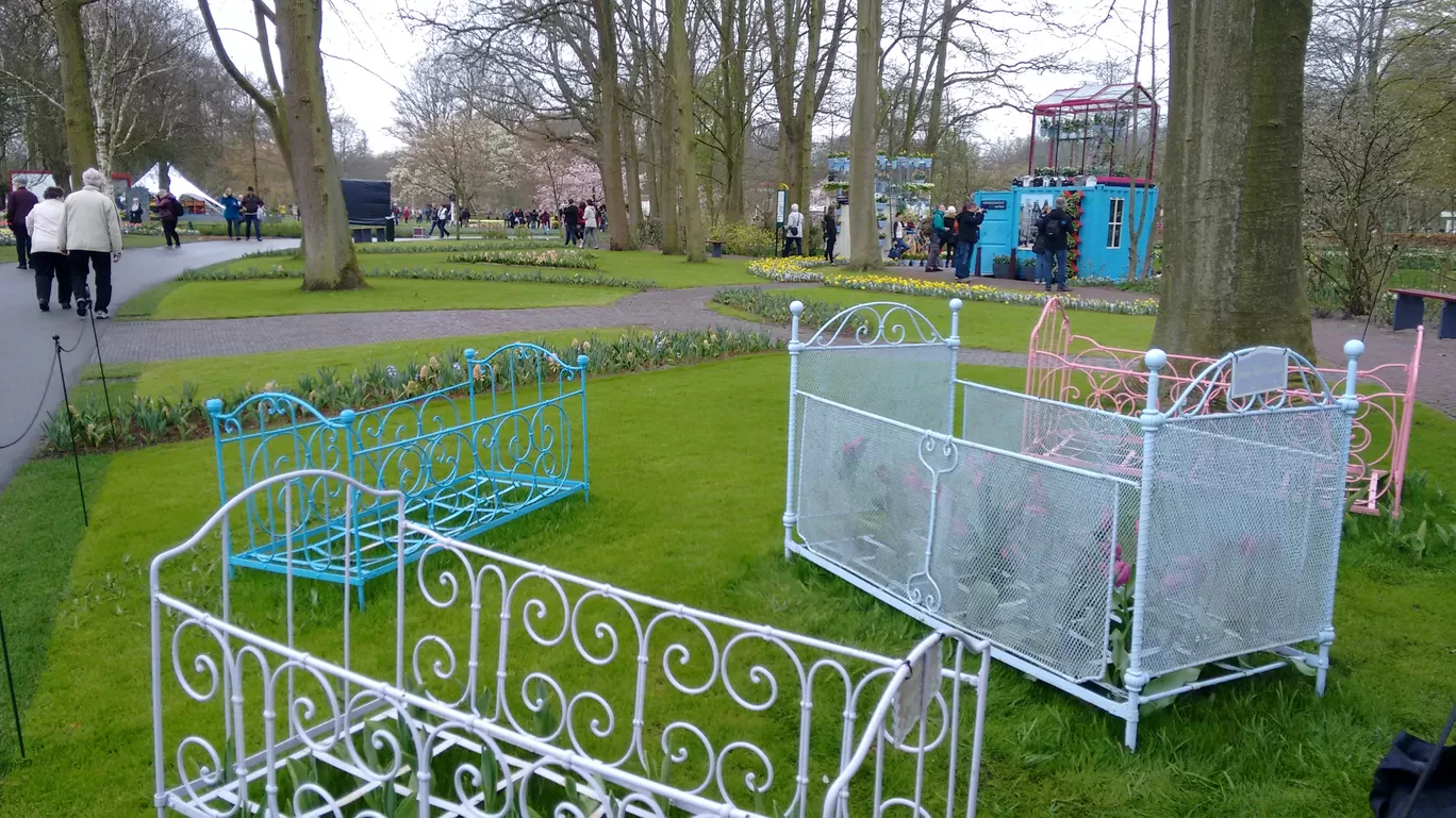Photo of Keukenhof By Shreya Agarwal