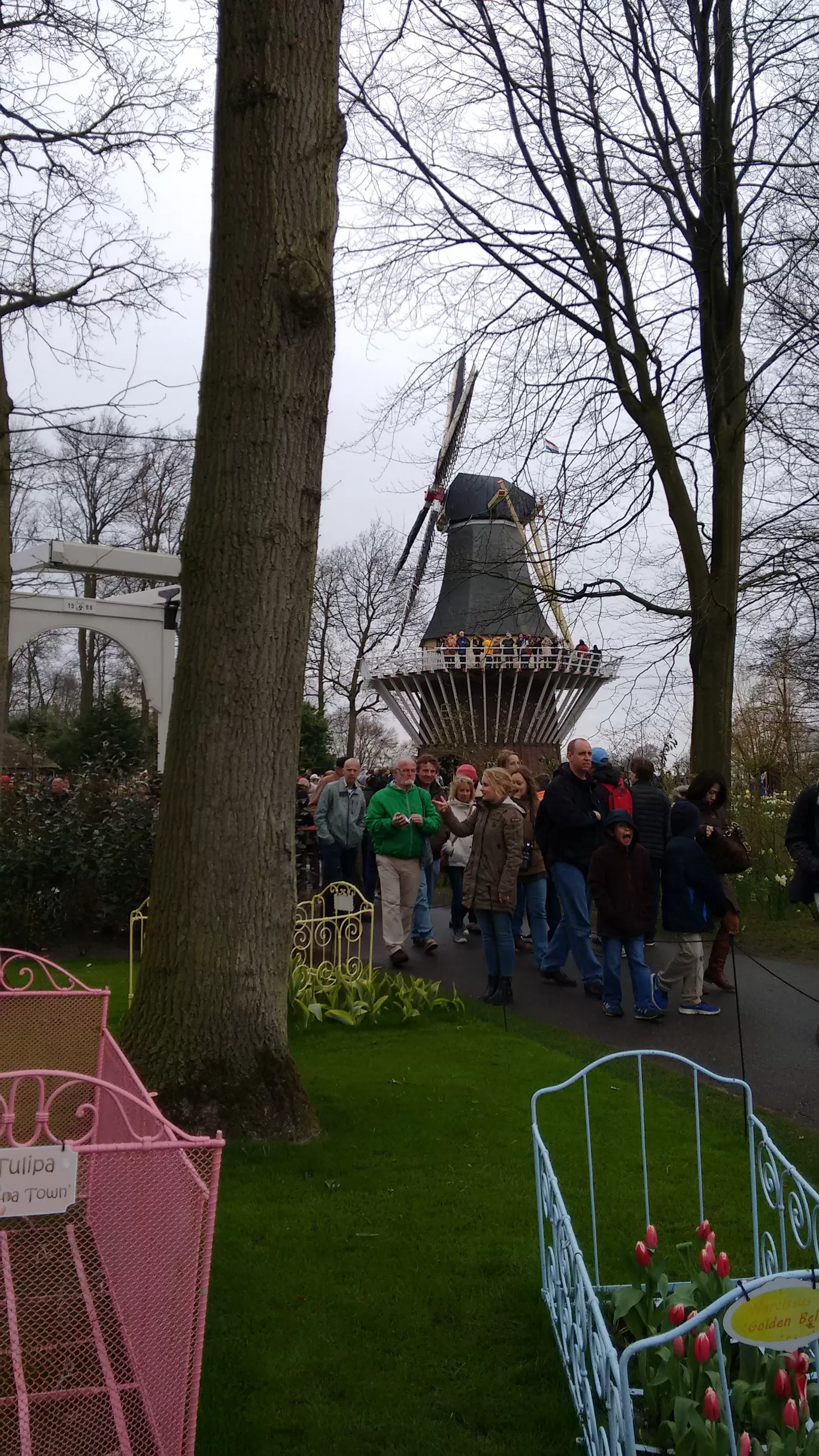 Photo of Keukenhof By Shreya Agarwal