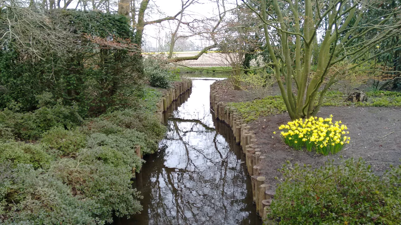 Photo of Keukenhof By Shreya Agarwal
