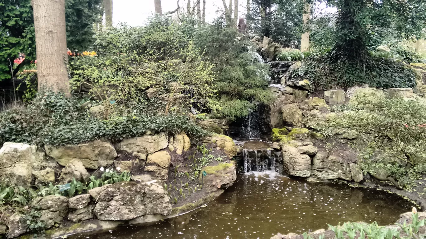 Photo of Keukenhof By Shreya Agarwal