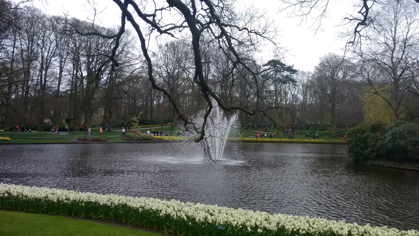 Photo of Keukenhof By Shreya Agarwal