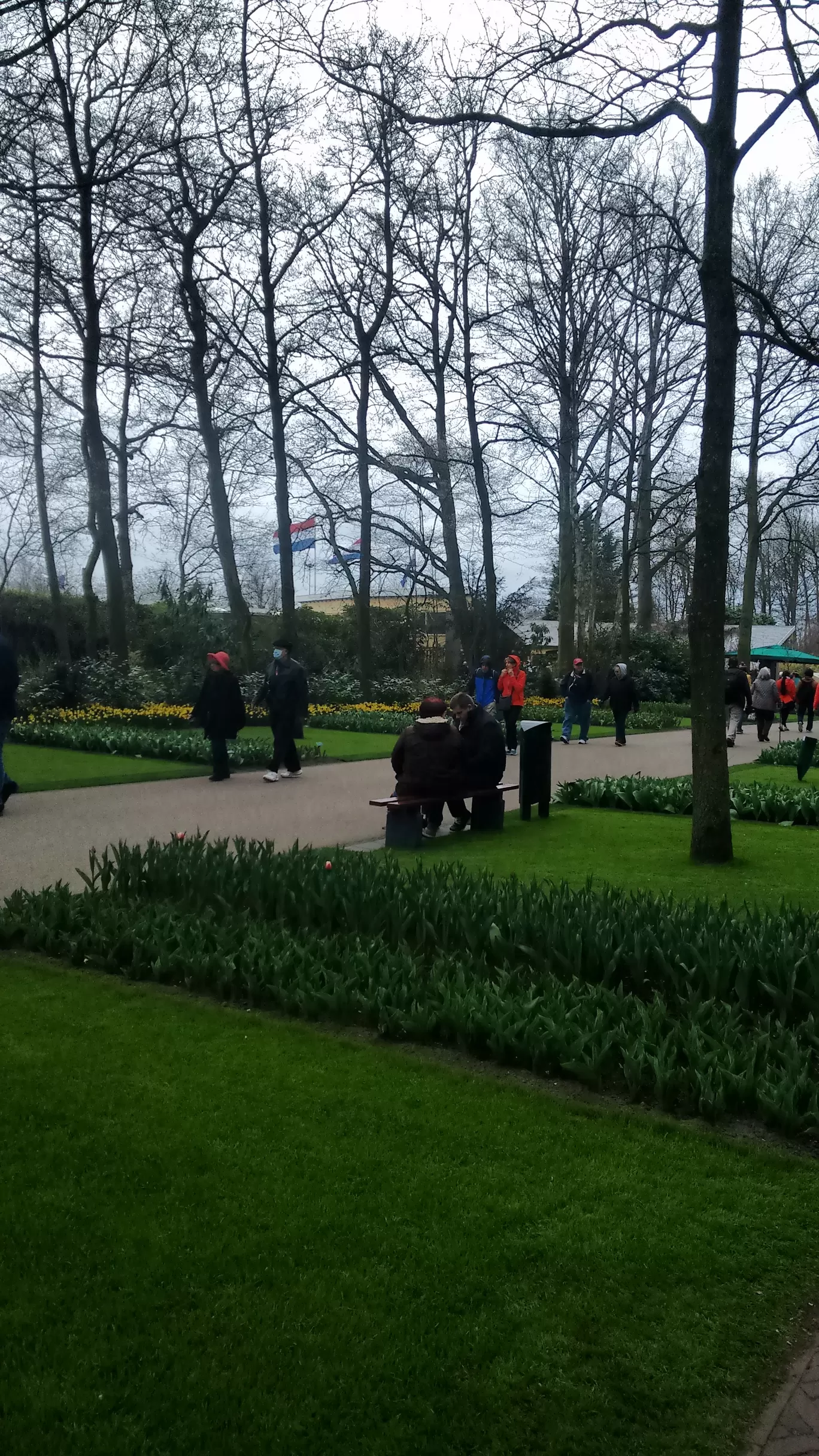 Photo of Keukenhof By Shreya Agarwal