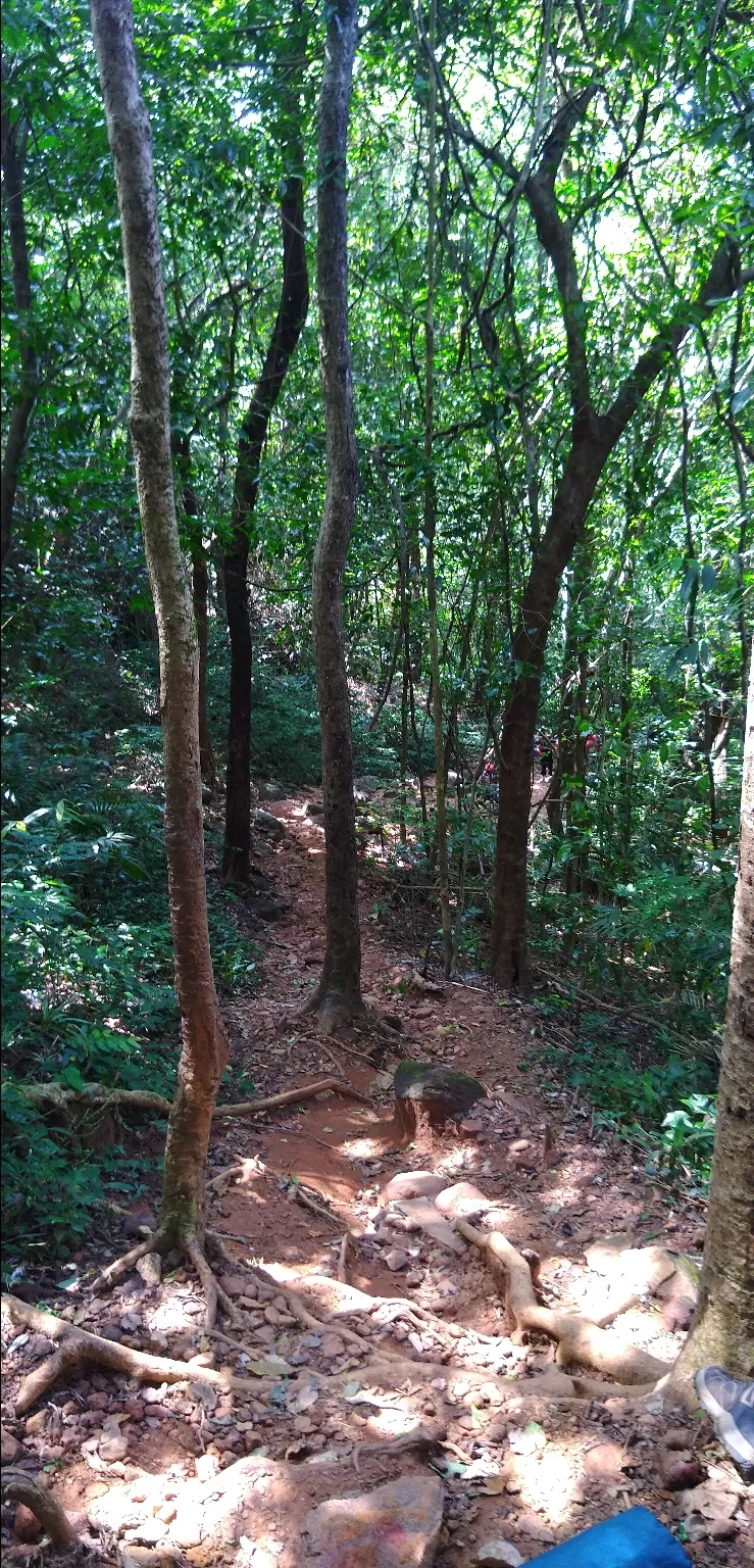 Photo of Kumara Parvatha view Point By Hitesh Prashanth