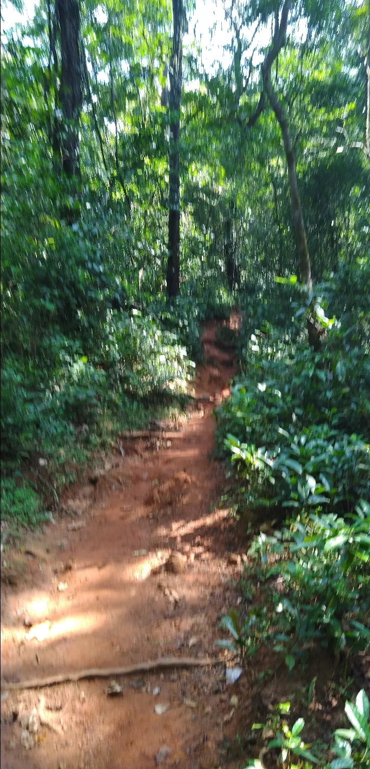 Photo of Kumara Parvatha view Point By Hitesh Prashanth