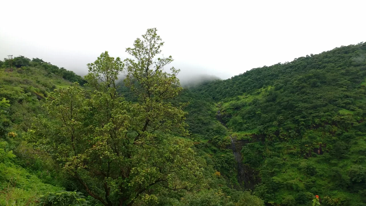 Photo of Sinhagad Ghat Road By Junaid Khalil