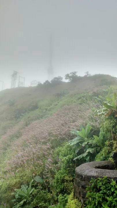 Photo of Sinhagad Ghat Road By Junaid Khalil