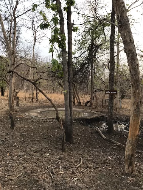 Photo of Bor Wildlife Sanctuary By S.AHMED T11
