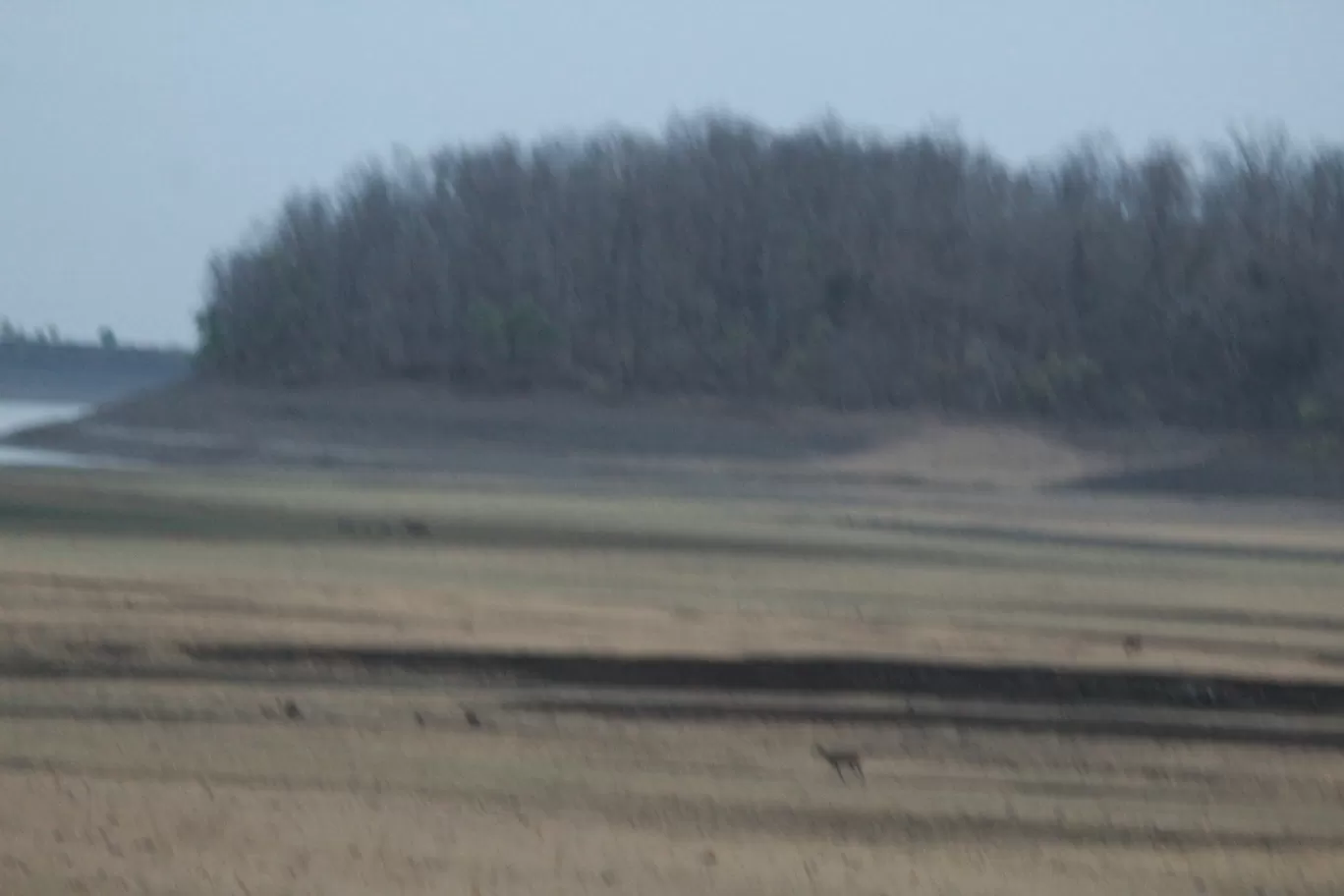 Photo of Bor Wildlife Sanctuary Interpretation Centre By S.AHMED T11