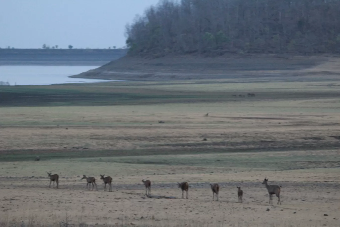 Photo of Bor Wildlife Sanctuary Interpretation Centre By S.AHMED T11