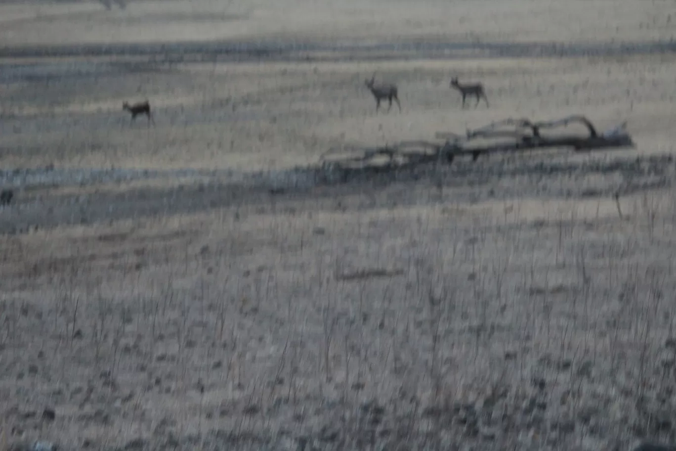 Photo of Bor Wildlife Sanctuary Interpretation Centre By S.AHMED T11