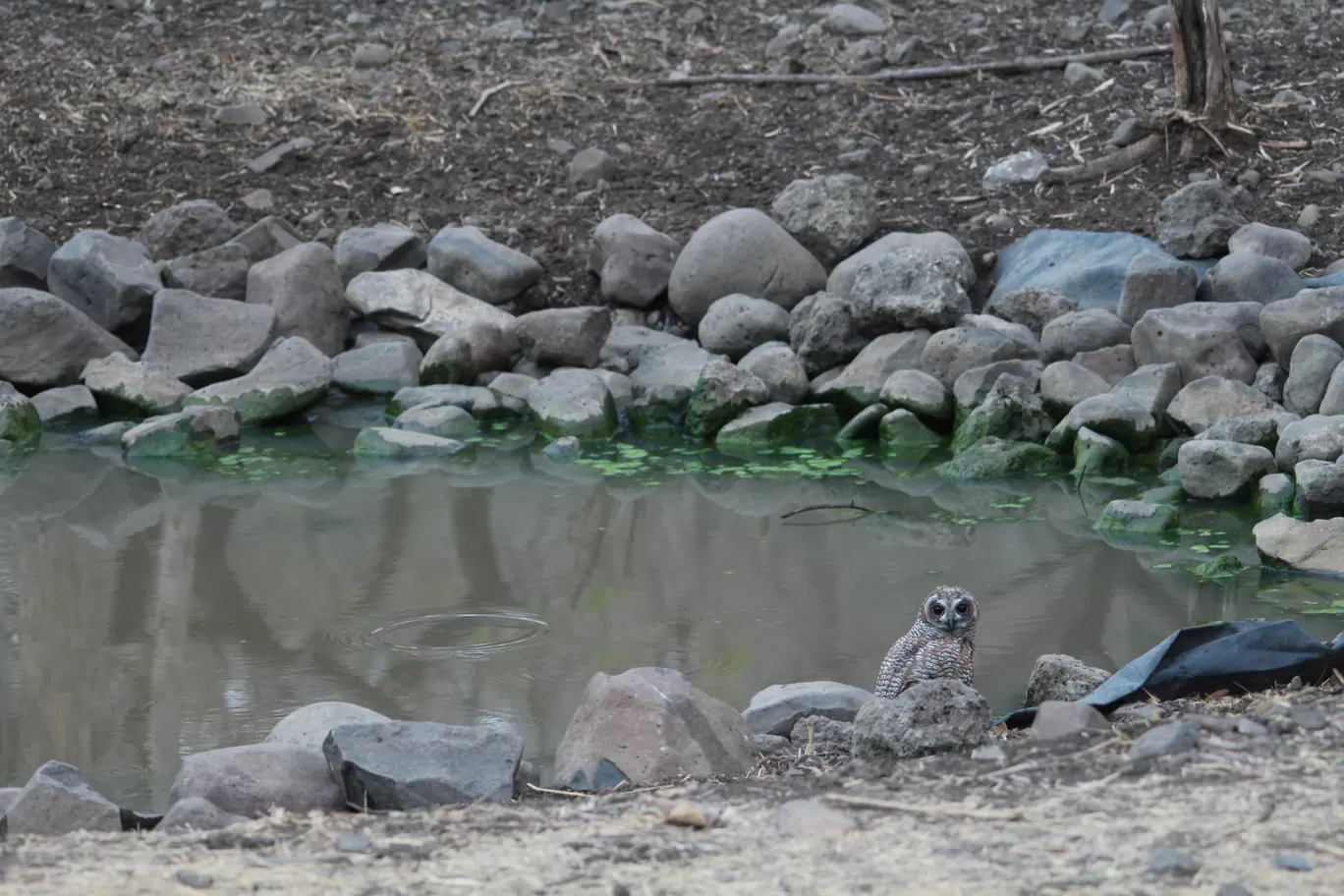 Photo of Bor Wildlife Sanctuary Interpretation Centre By S.AHMED T11