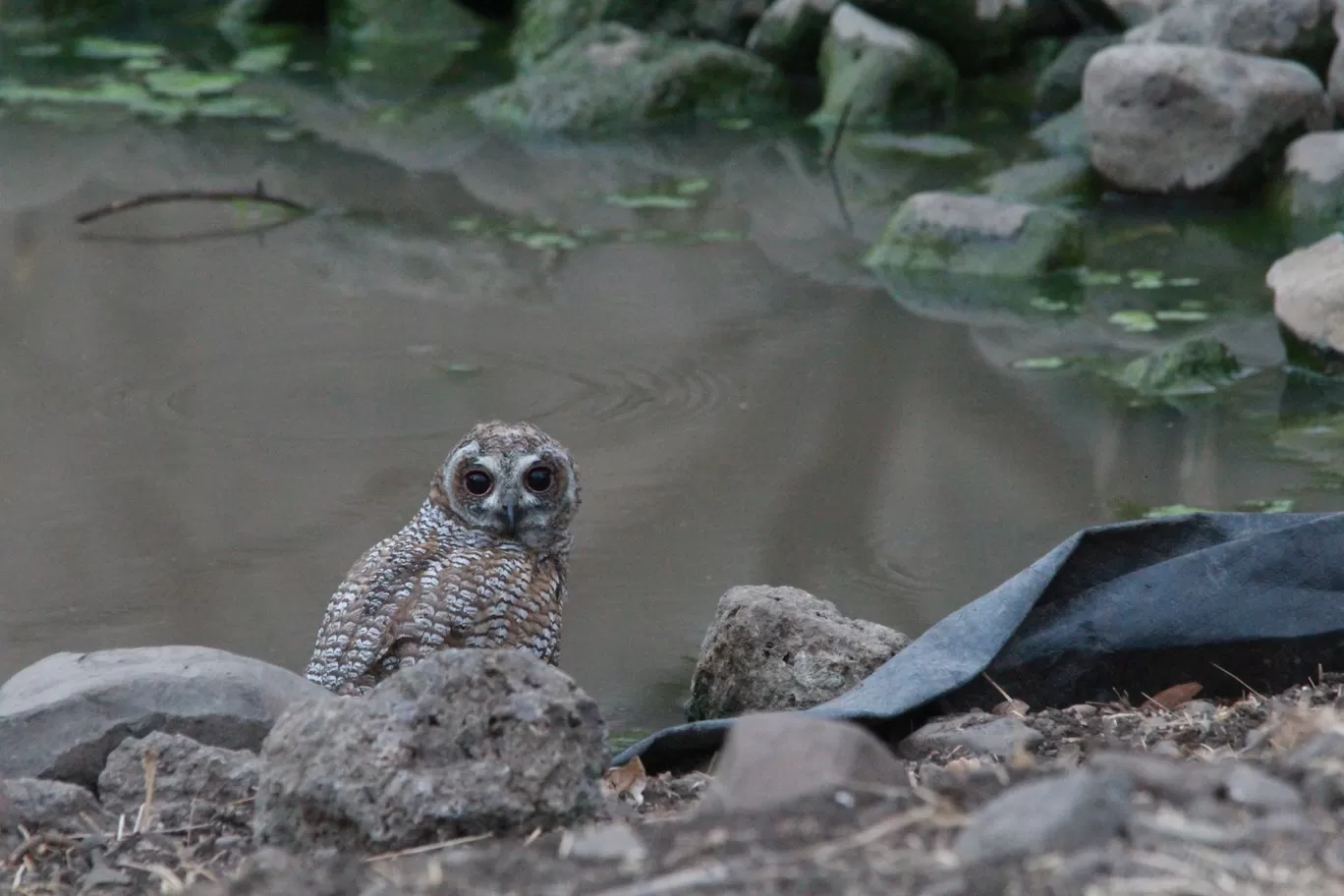 Photo of Bor Wildlife Sanctuary Interpretation Centre By S.AHMED T11