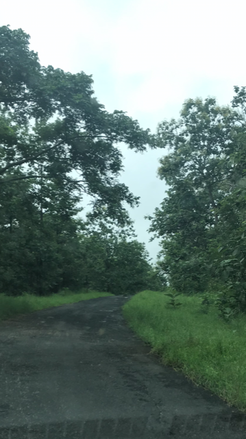 Photo of Sillari Gate By S.AHMED T11