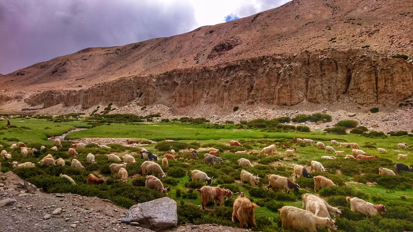Photo of Jammu and Kashmir By Sachin 