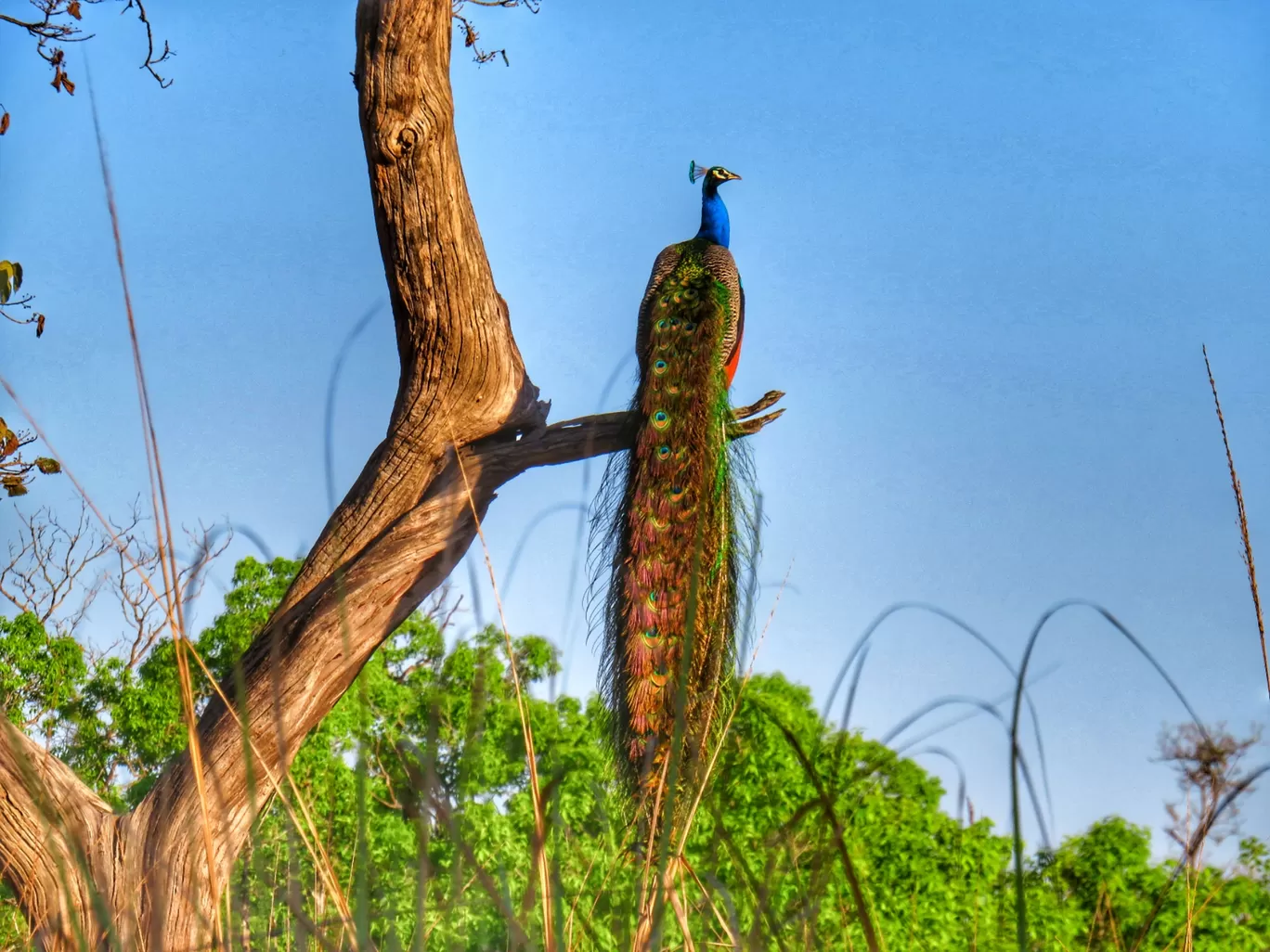 Photo of Uttarakhand By Sachin 